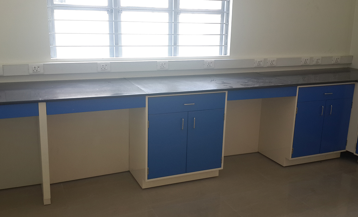 Portfolio Detail Image 7