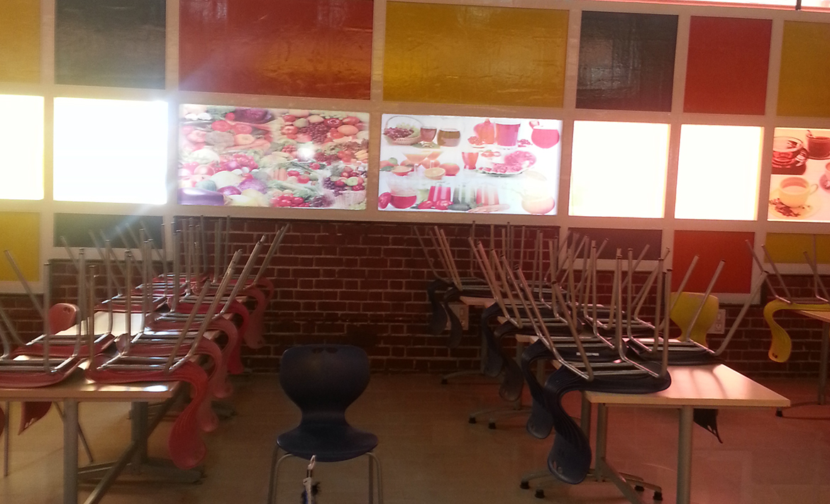 Portfolio Detail Image 14