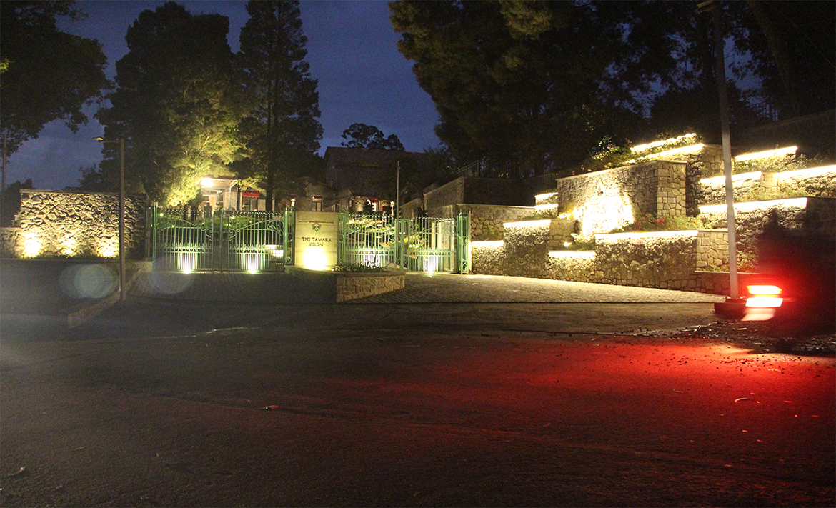 Portfolio Detail Image 6